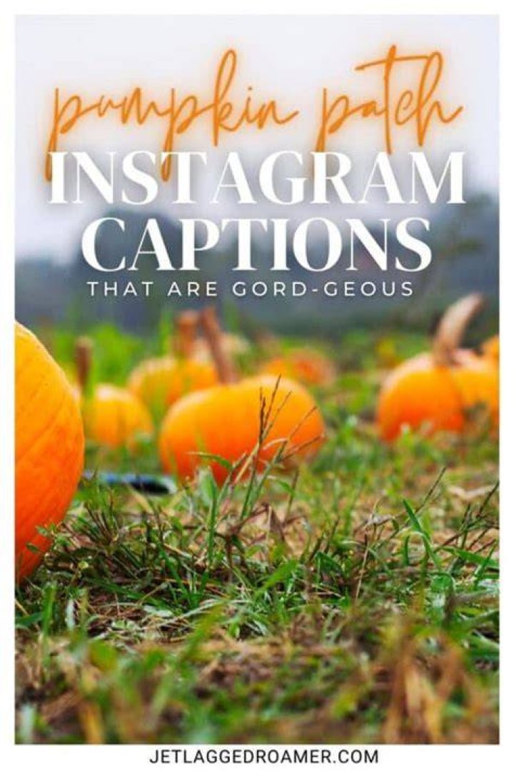 45 Instagram Captions for Your Best Pumpkin Patch Selfie