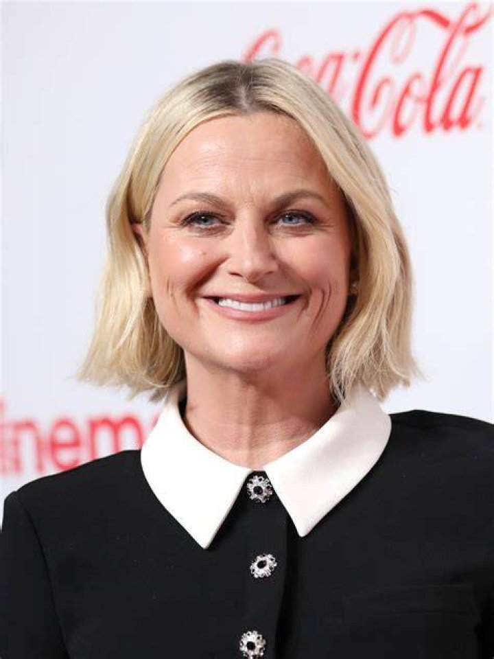 Amy Poehler net worth Amy Poehler net worth