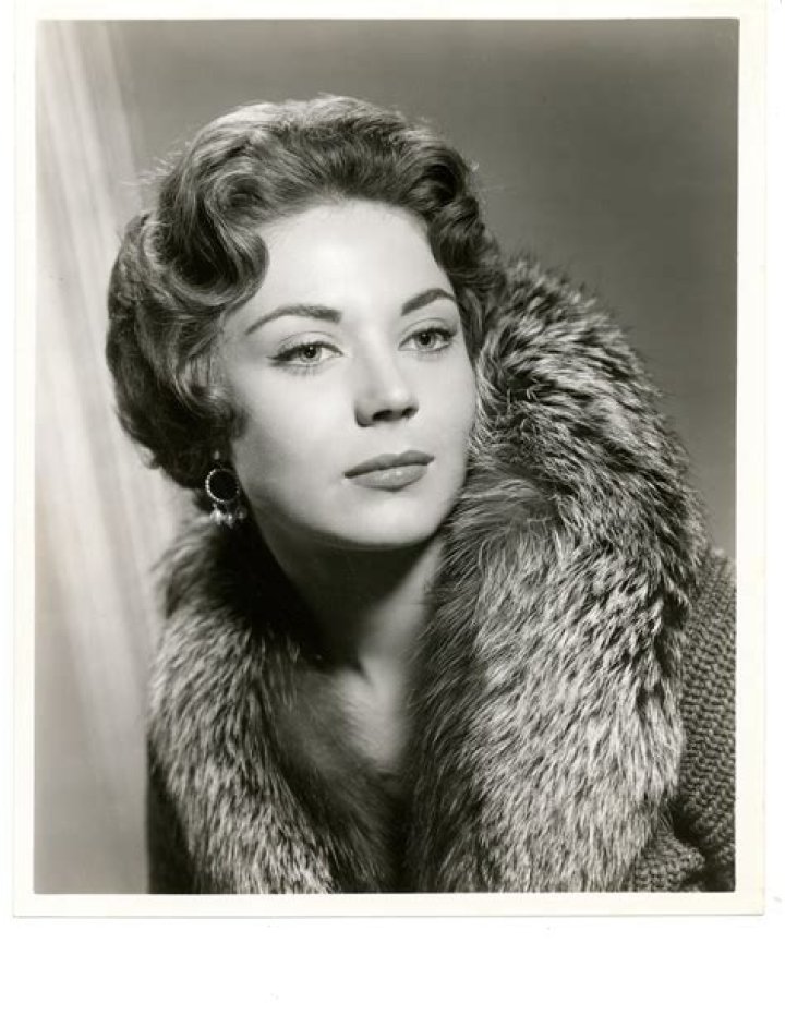 Andra Net Worth