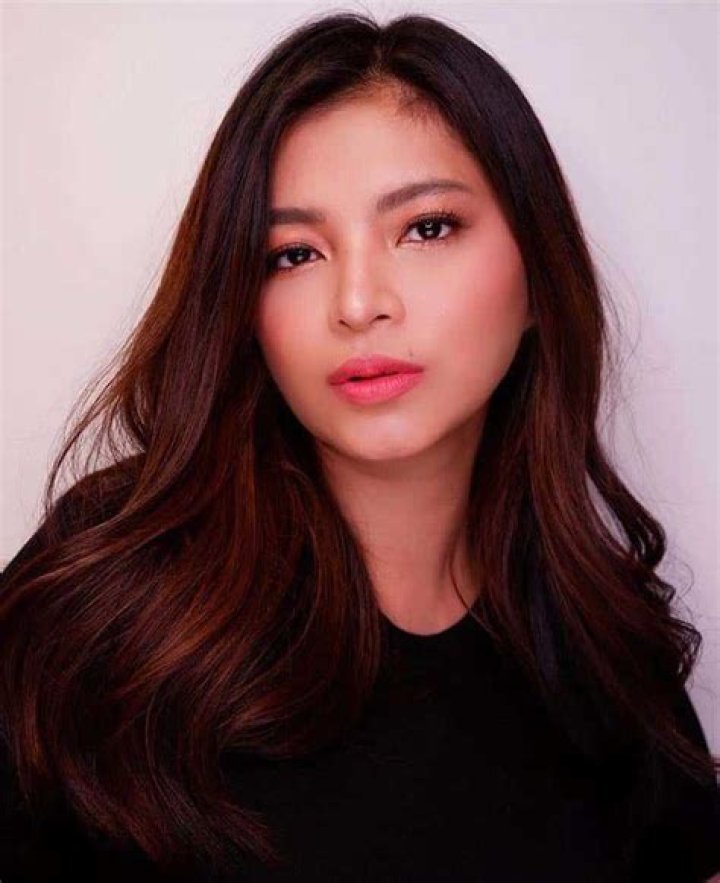 Angel Locsin Net Worth