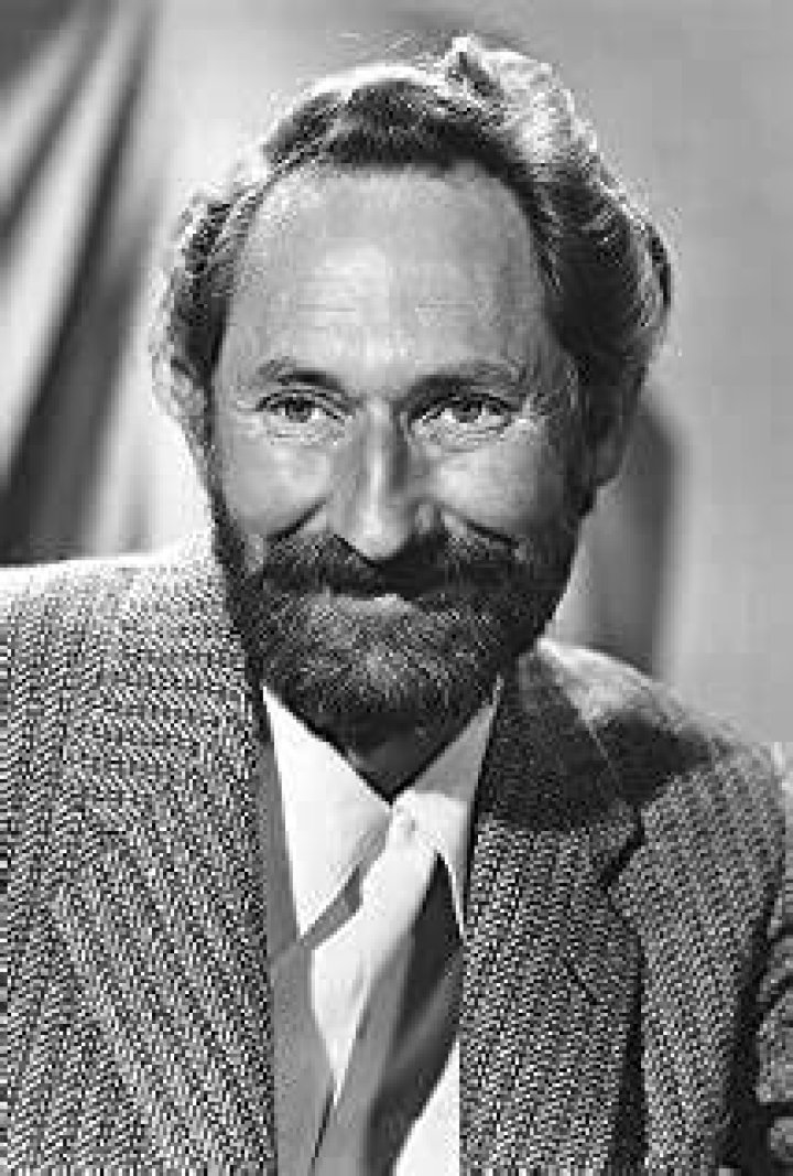 Arthur Hunnicutt Net Worth