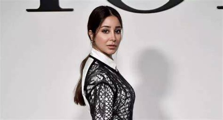 Aseel Omran Net Worth