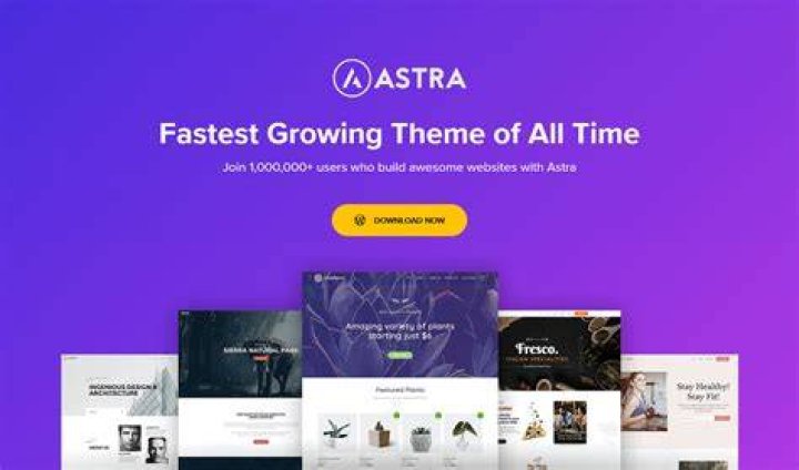 Astra Theme