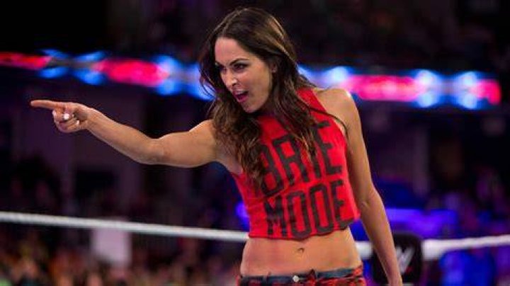 Brie Bella's Net Worth and Financial Success Brie Bella's Net Worth and Financial Success
