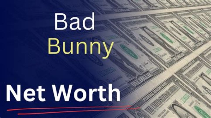 Bunny Rugs Net Worth