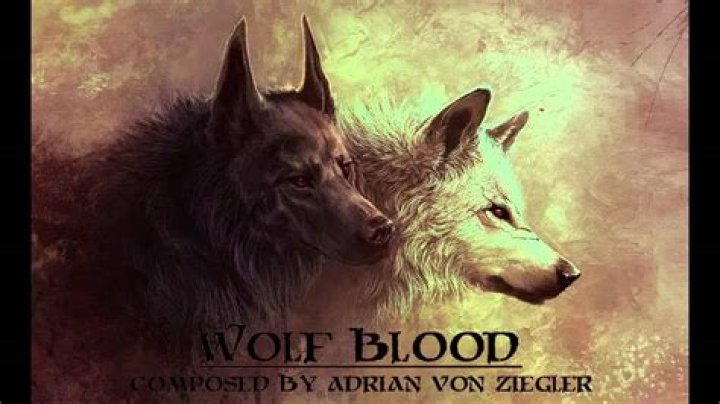 Celtic Music - Wolf Blood - celtic metal music bands