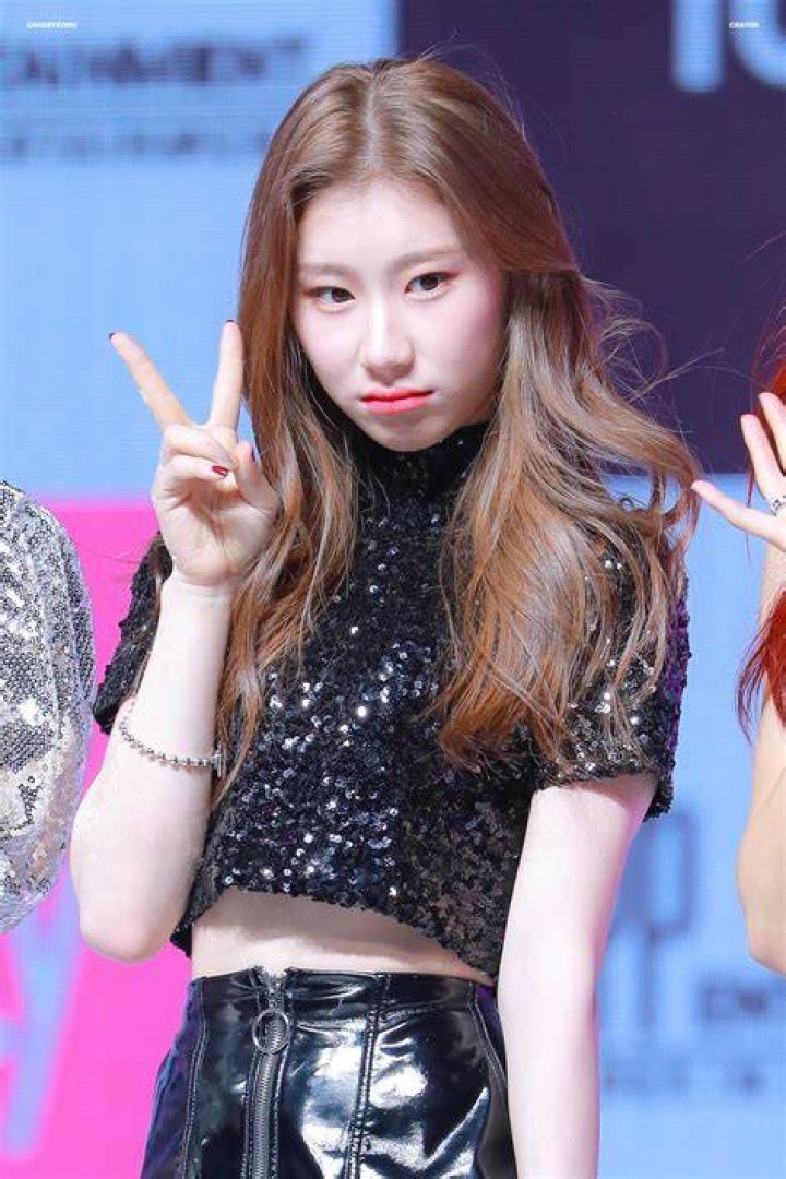 Chaeryeong Net Worth
