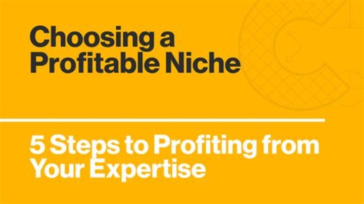 choosing a profitable niche