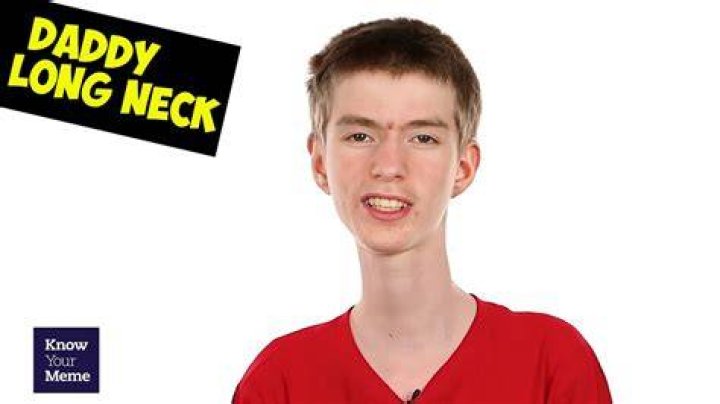Daddy Long Neck from USA