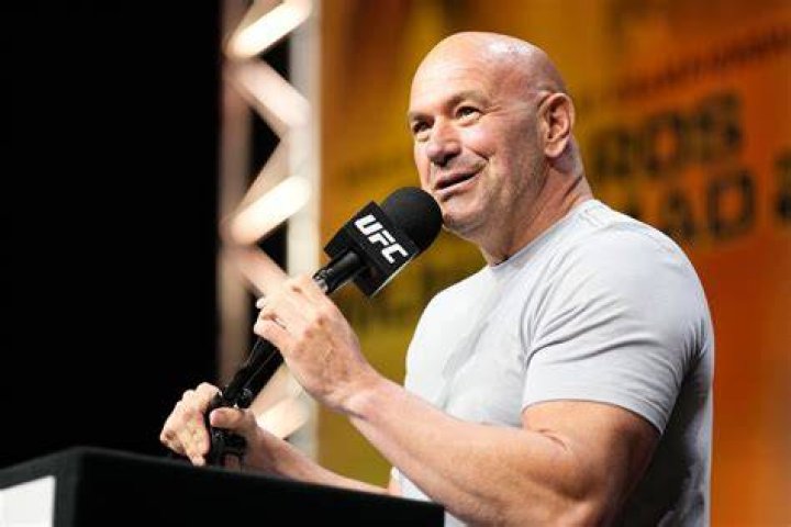 dana white