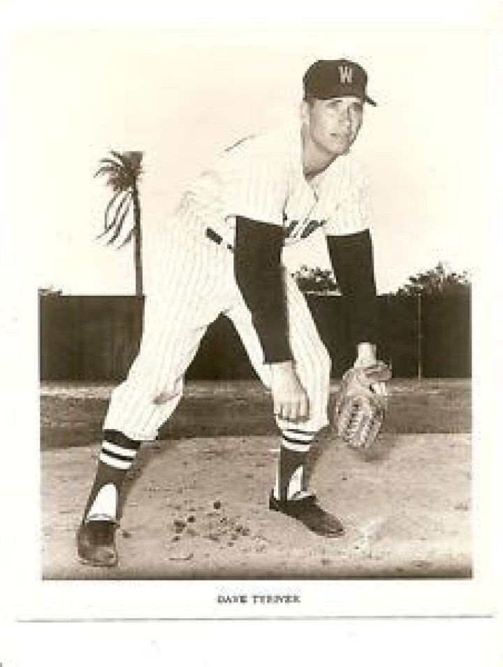 Dave Tyriver