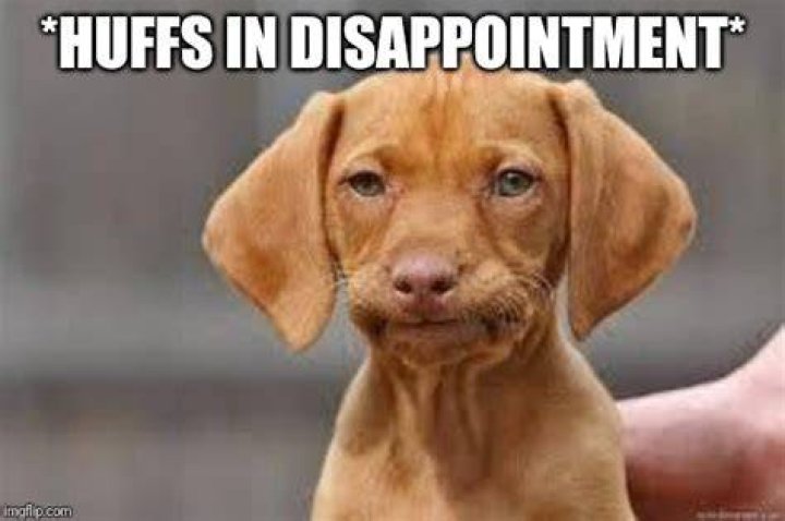 Disappointed Memes