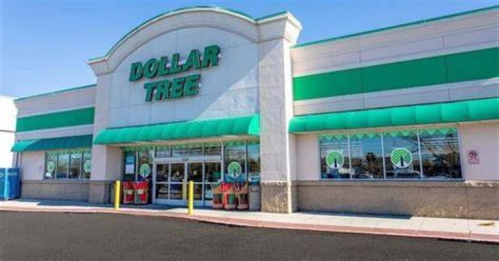 Dollar Tree Financing and Support