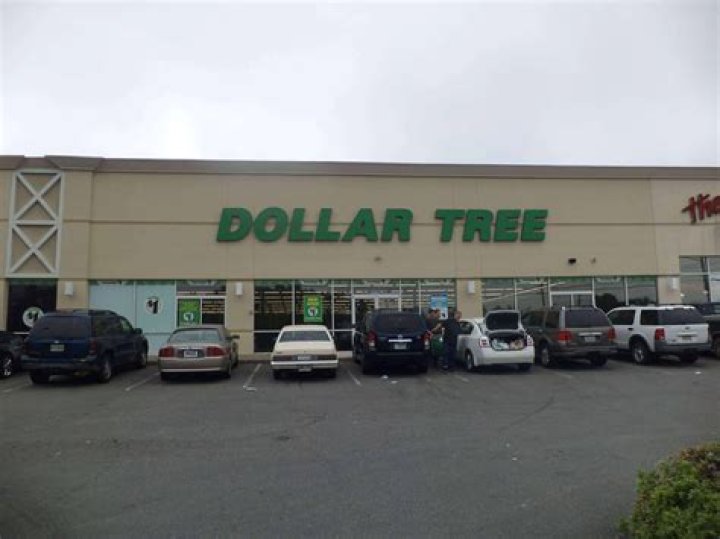 dollar tree franchise cost