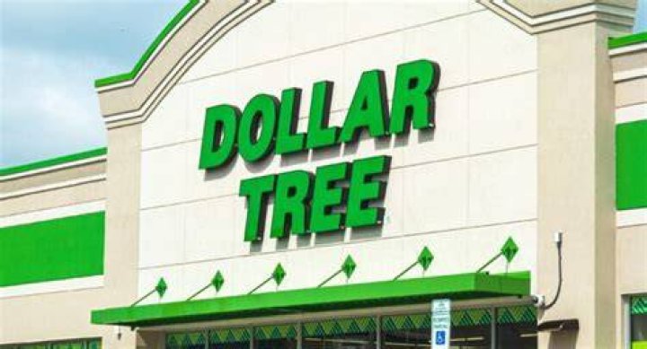 dollar tree profit potential image