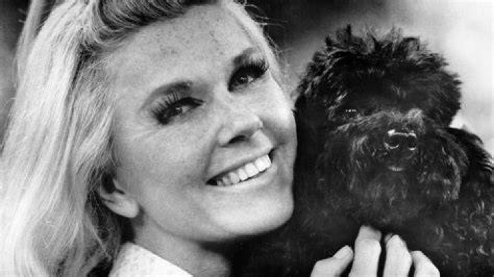 doris day inheritance