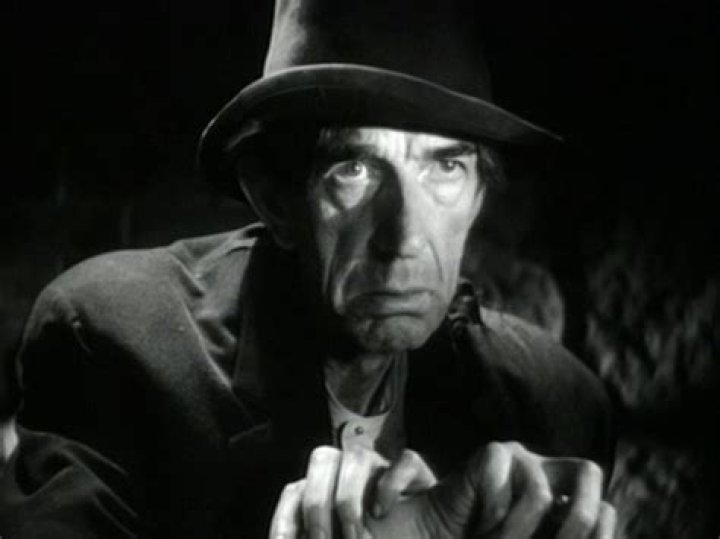 D&rsquo;Arcy Corrigan