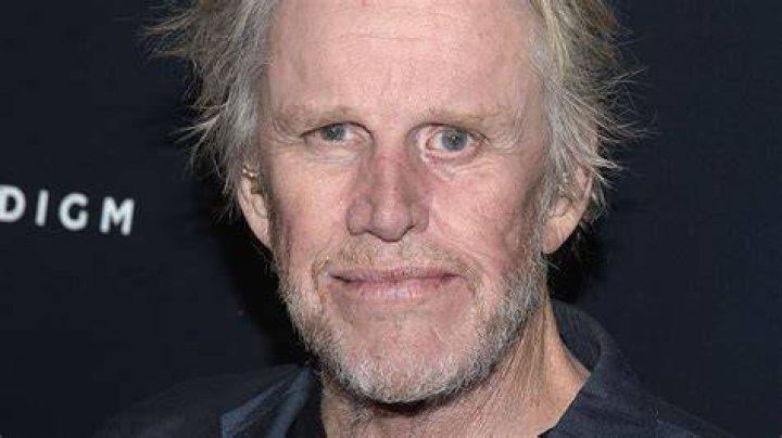 Gary Busey