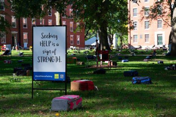 Harvard student suicide