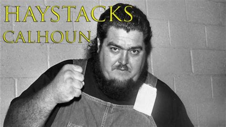 Haystacks Calhoun Net Worth
