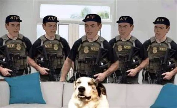 Hilarious ATF memes