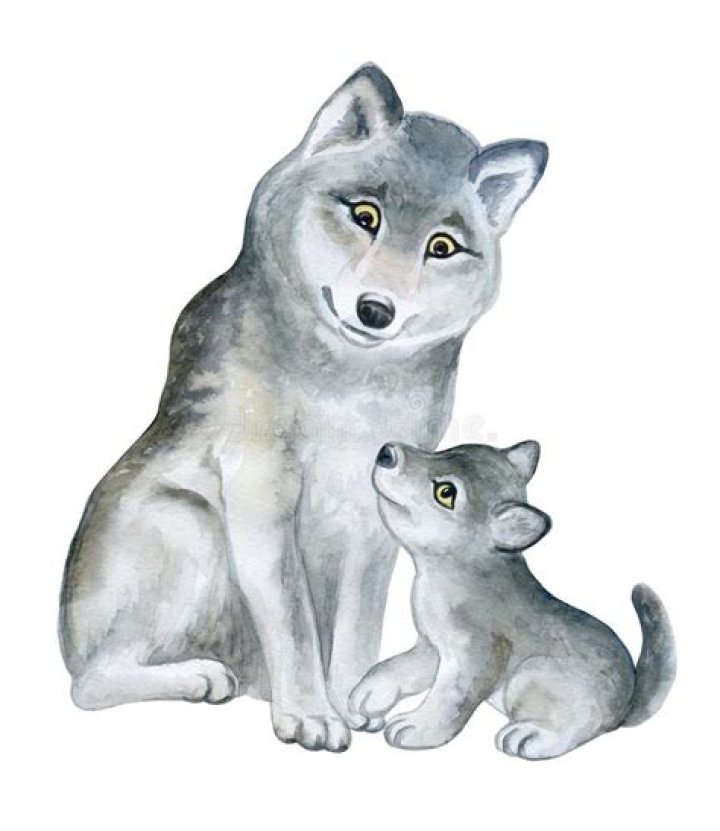 Ilana dad Wolf and mom Lynn. Source: NYTimes