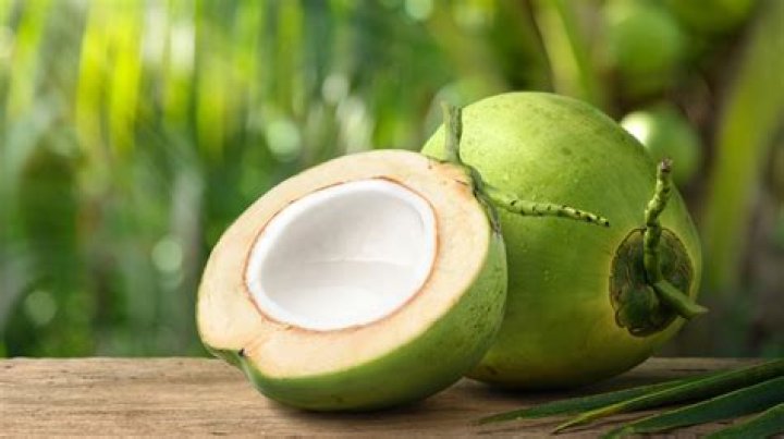 is coconut: a fruit is coconut: a fruit