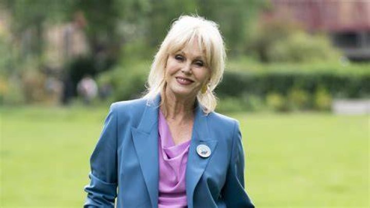 Joanna David Net Worth