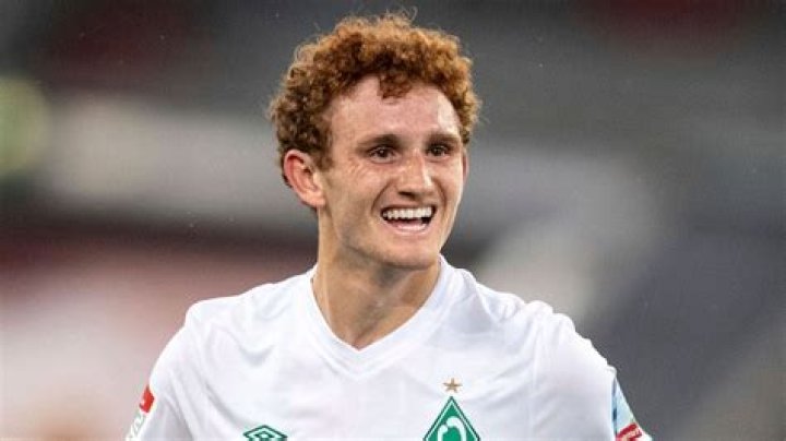 Josh Sargent Net Worth 2024