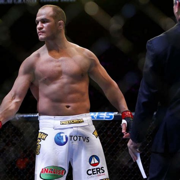 Junior Dos Santos professional background