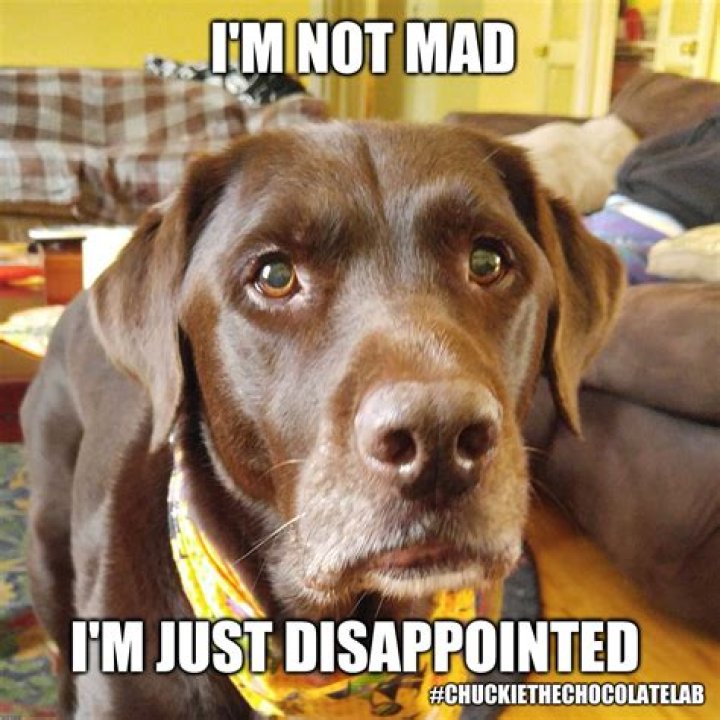 Just Disappointed