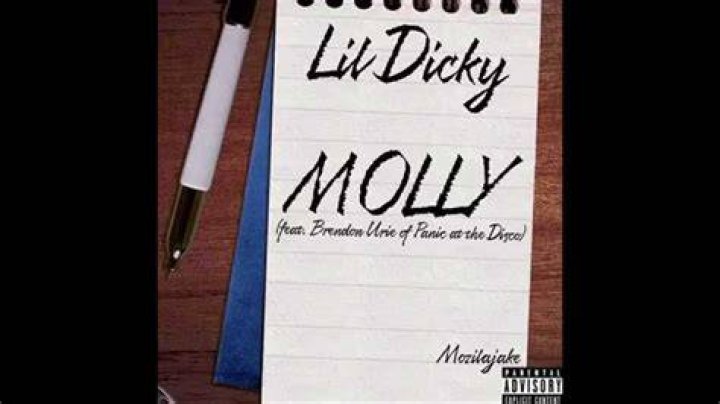 lil dicky molly