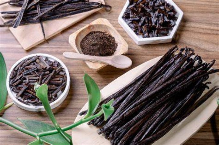 Madagascar Vanilla