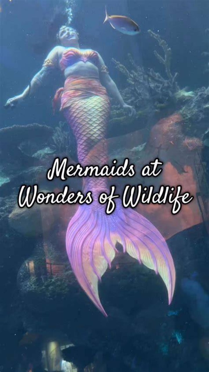 Mermaid Mo