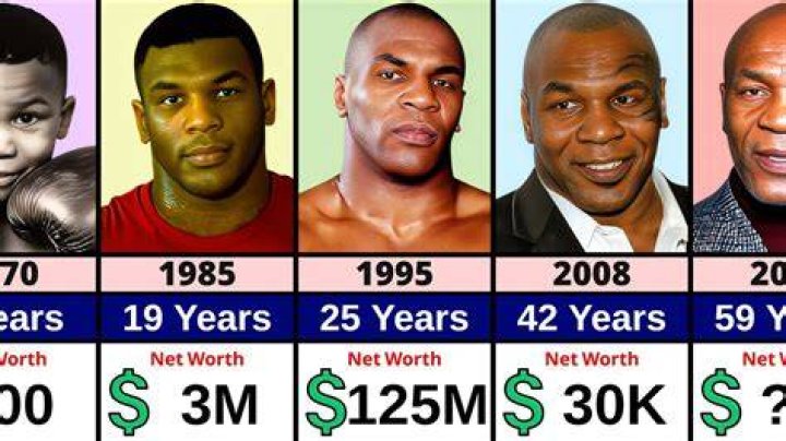 mike tyson net worth mike tyson net worth