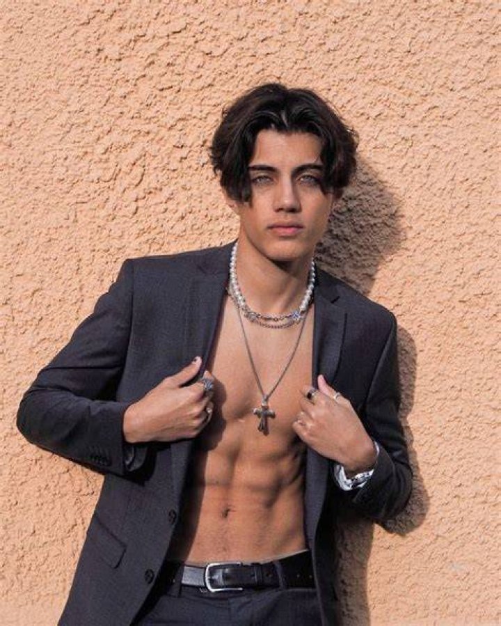 Milos Guzel Net Worth