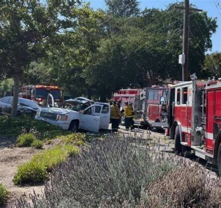 Livermore Mitchell Katz Car Accident Linked To Death Cause: Family Mitchell Katz Car Accident