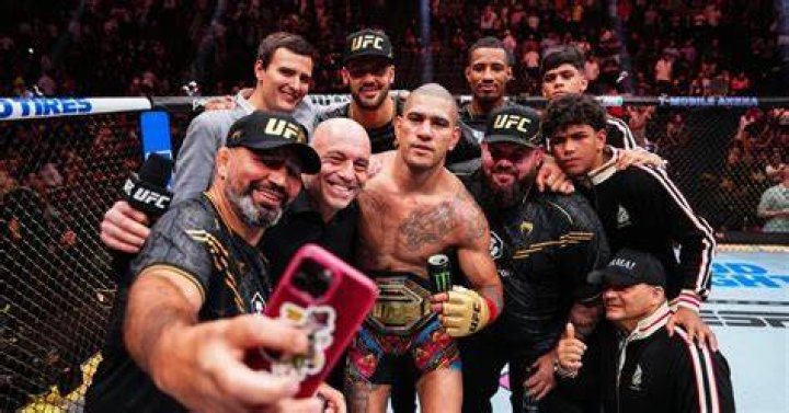 MMA community's stance on domestic violence