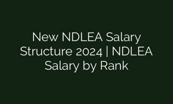 NDLEA salary structure: ranks, pay and qualitifications explained
