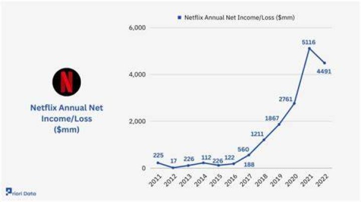 netflix net worth netflix net worth