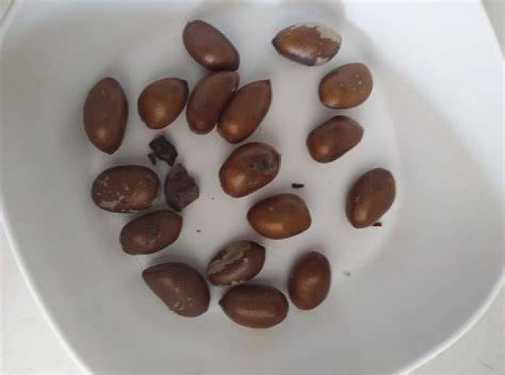 Nutmeg for pepper soup with intestine recipe