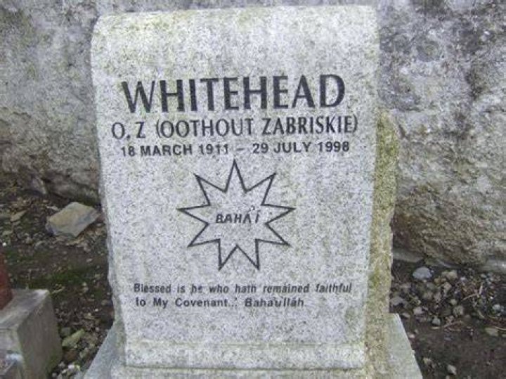 O.Z. Whitehead Net Worth