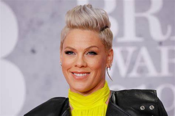 pink net worth pink net worth