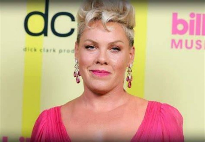 pink singer influence pink singer influence