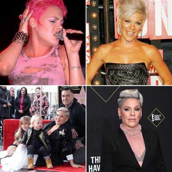 pink singer personal life pink singer personal life