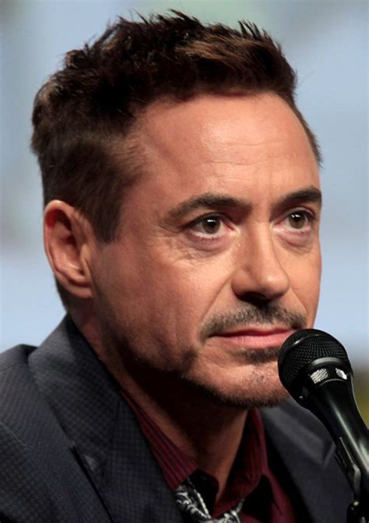 Robert Downey Jr. American Actor