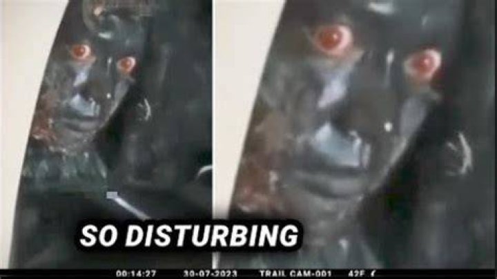 Scary Video Viral On Internet