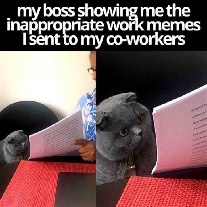 Send this funny meme to your friend