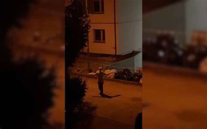 Serbian Dancing Lady