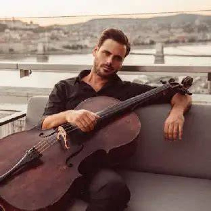Stjepan Hauser Net Worth